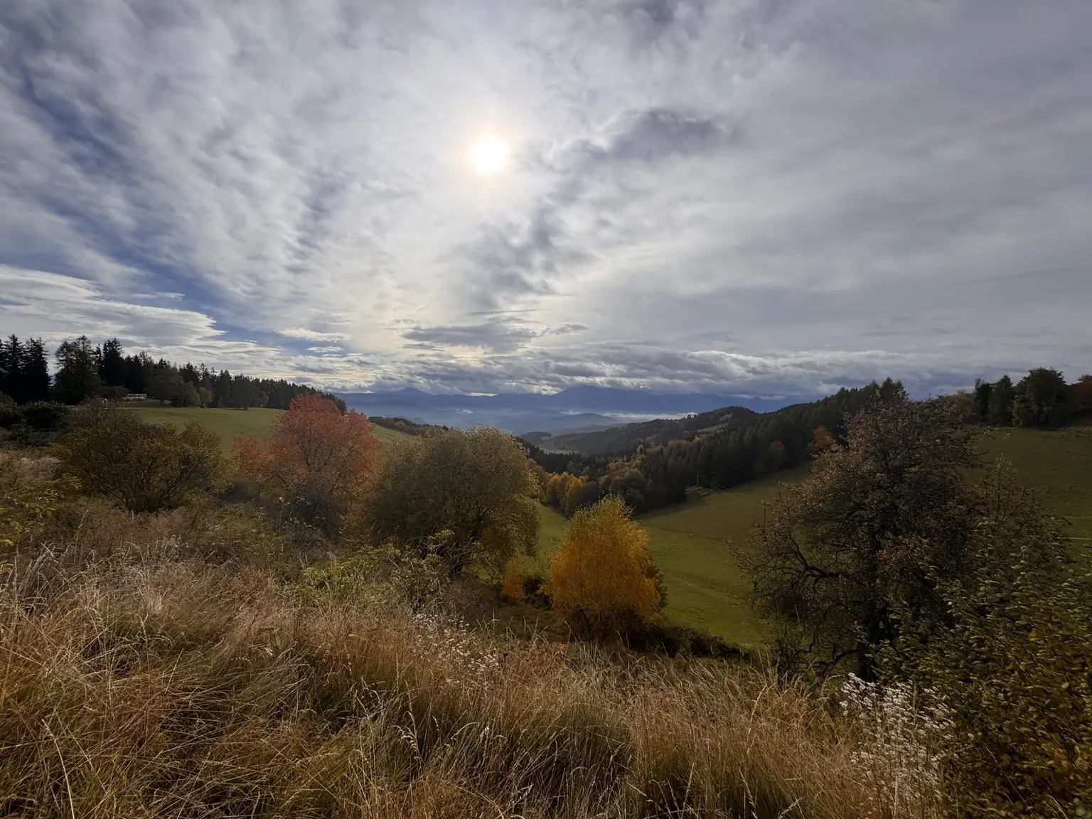 Gästehaus mit 9 Zimmern, privater Wohnung, Restaurant inklusive moderner Gastroküche und Nebengebäude – Ihre perfekte Investitionsmöglichkeit