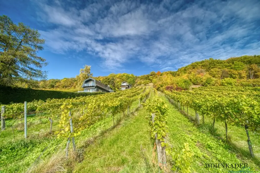 Exklusives Traumhaus zur Miete mit Panoramablick auf die Weinberge