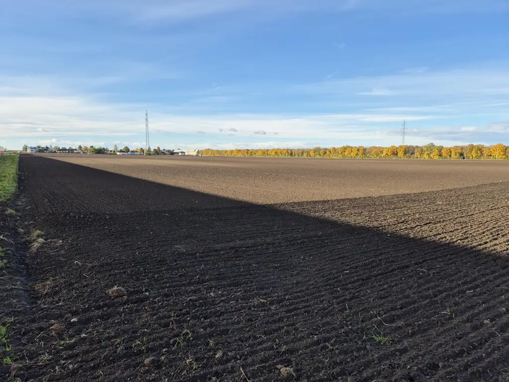 "BAUhoffnungsTELEFON"