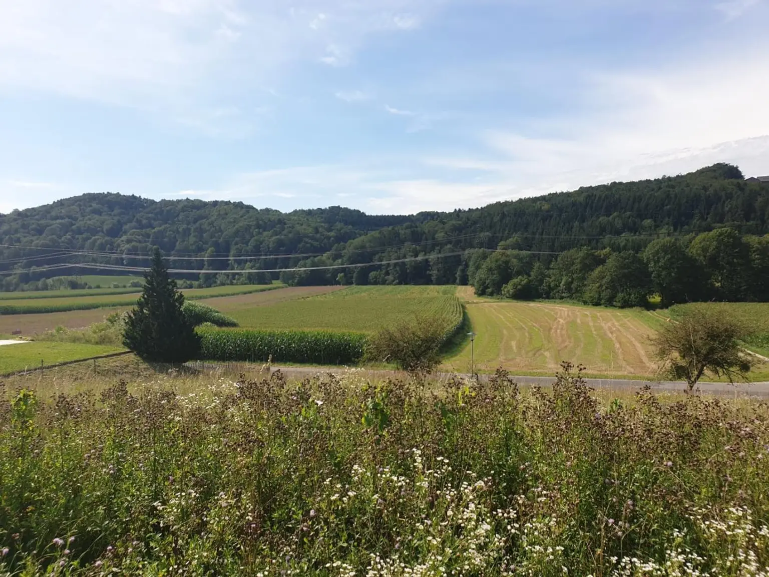 Grundstück