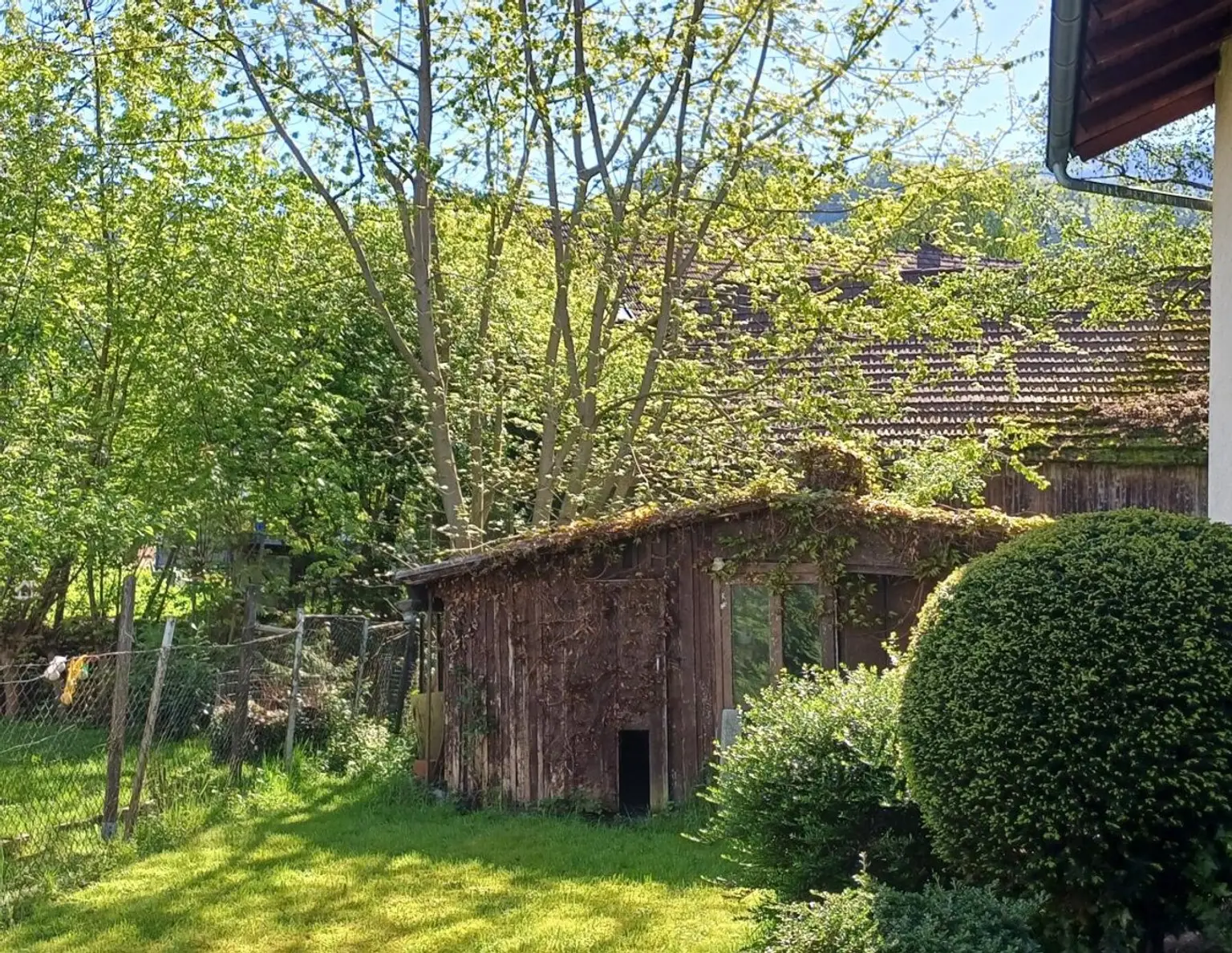 Errichten Sie Ihr Traumhaus in einer der schönsten Lagen von Dornbirn! Grundstück auch teilbar
