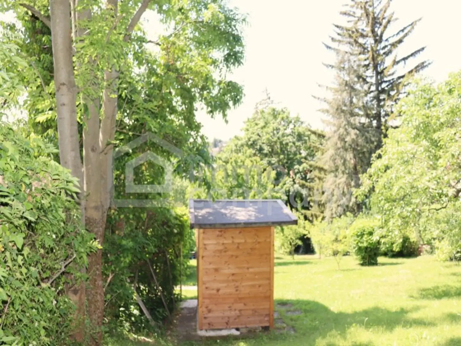 ES GIBT FÜR ALLES EINEN GRUND - wir haben gleich 3 davon…