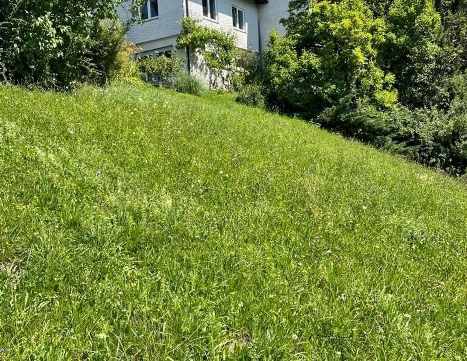Landwirtschaftliches Grundstück Mitten im Ort-Ybssitz-Niederösterreich