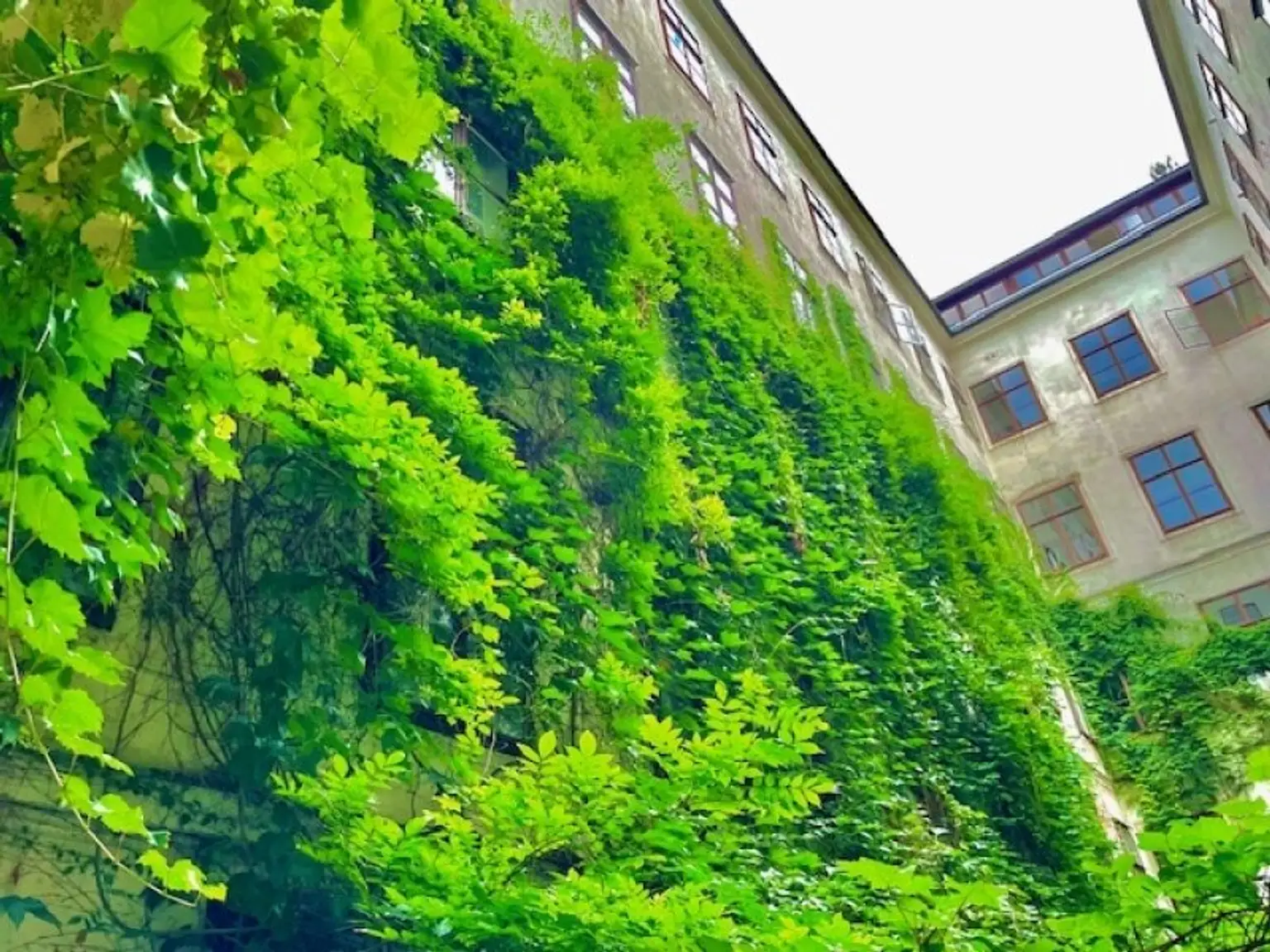 WOHNEN im 7-ten HIMMEL - INNENSTÄDTISCHE EigentumsWohnung - ELEGANTE Klassische Wiener-Altbau-Wohnung mit 2-Zimmern in Top Lage am SPITTELBERG - DURCHHAUS!