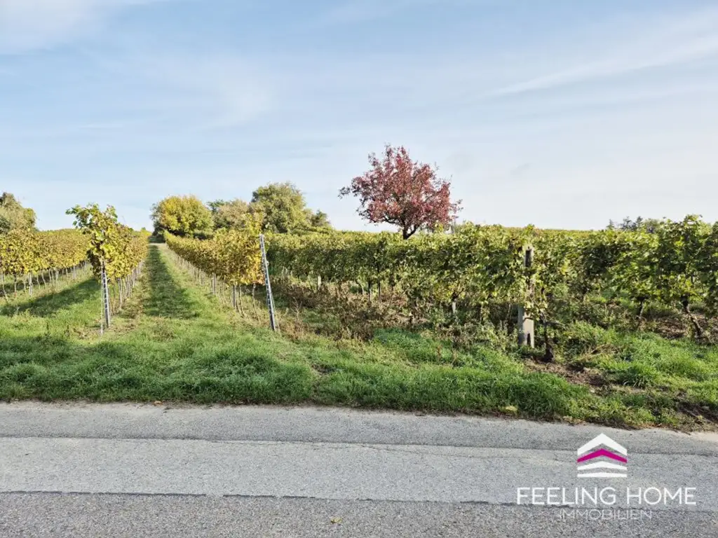 Verwirklichen Sie Ihre Wohnträume – vis-à-vis vom Weinberg und nahe dem Marchfeldkanal in Stadtrandlage!