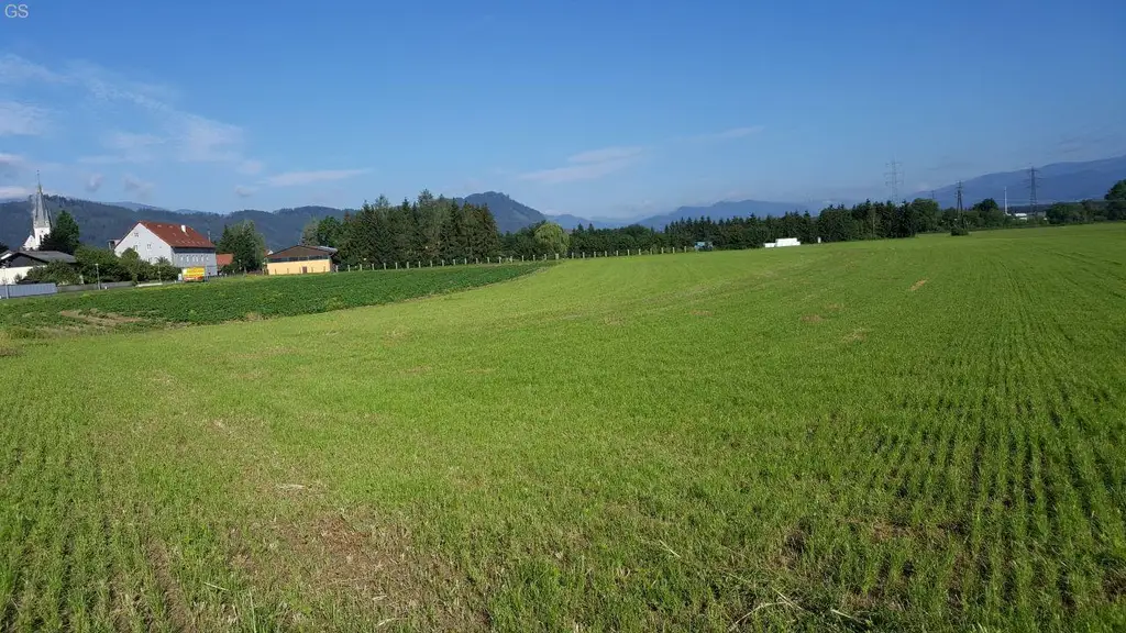 Sehr schöner Baugrund in neuer Siedlung in Weisskirchen !