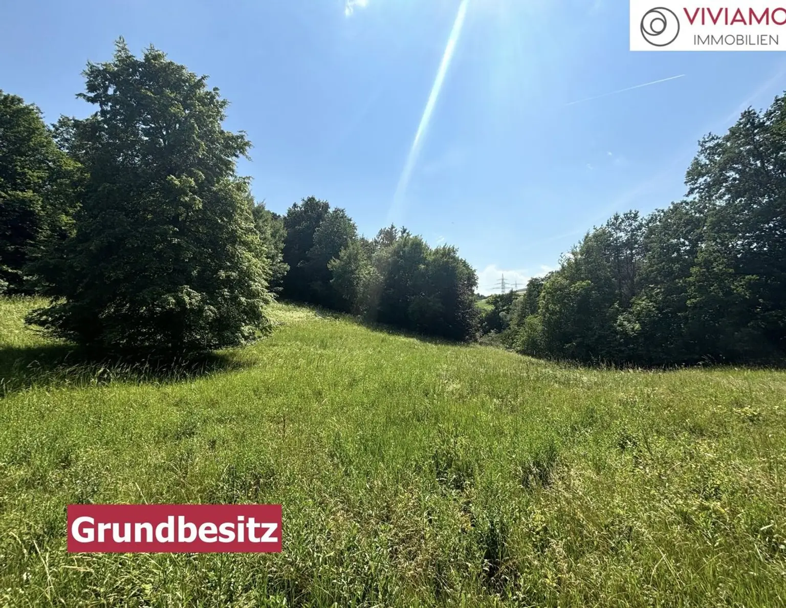 20 Minuten vor den Toren Wiens I Weitläufiges Anwesen im Wienerwald auf 17.900 m² Grundstücksfläche mit Privatsee und Hallenbad!
