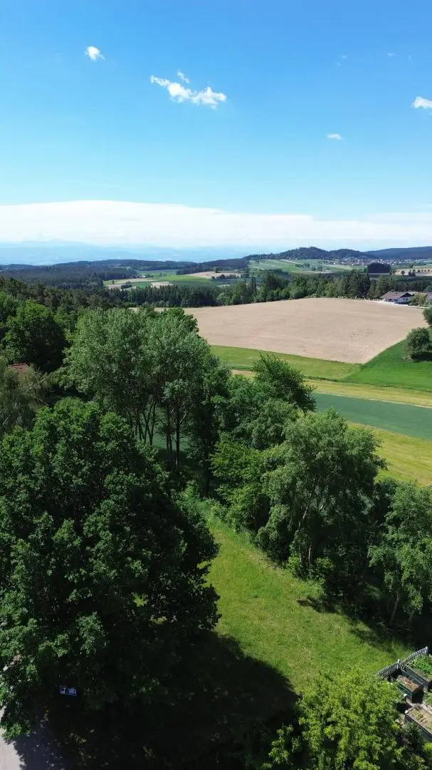 DJI_0124