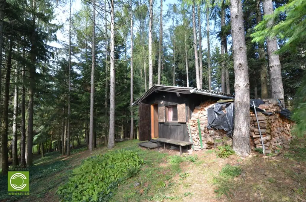 CHRISTOPH CHROMECEK IMMOBILIEN - SULZ IM WIENERWALD - Traumhafter Baugrund mit Blockhaus in Grün-Ruhelage!