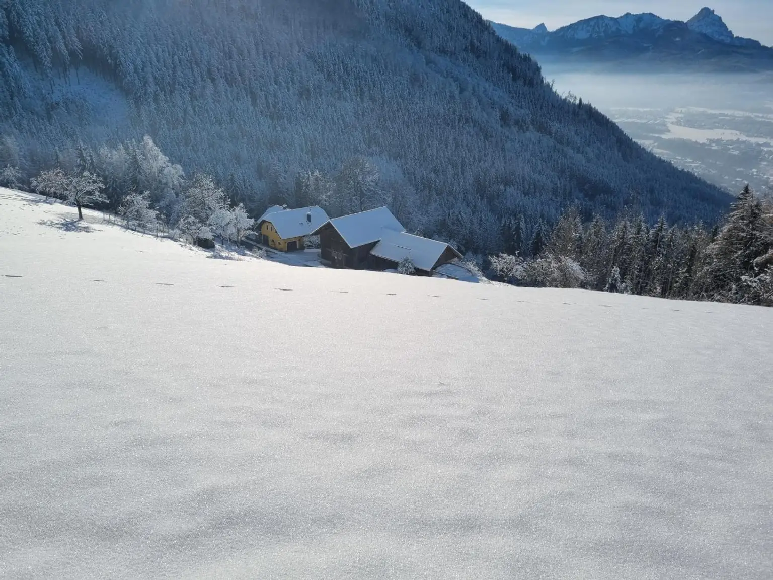 Vielleicht schon bald IHR HOF am HAMBERG