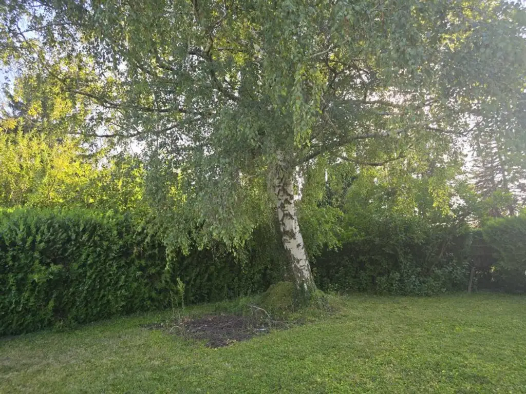 + SOMMERAKTION - EINMALIGE CHANCE + Ferienhaus am Neufelder See - Möglich auch als Zweitwohnsitz - paar Minuten vom Badesee entfernt - Privatstraße um nur € 44.900,-