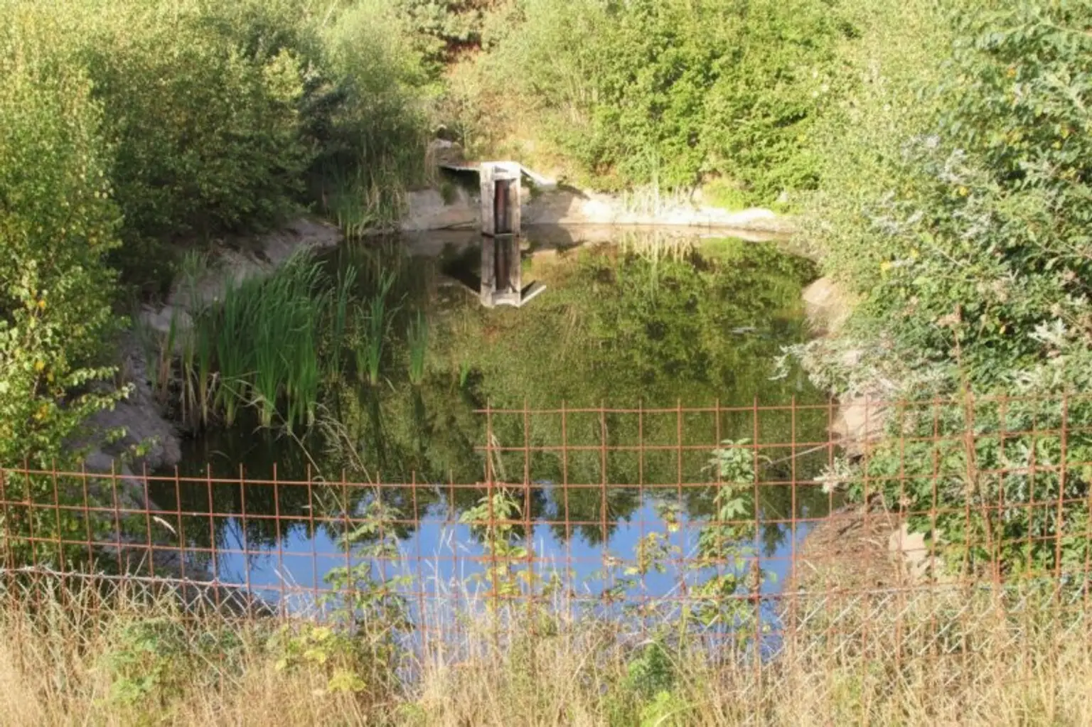 *****Fischteiche im nördlichen Waldviertel*****