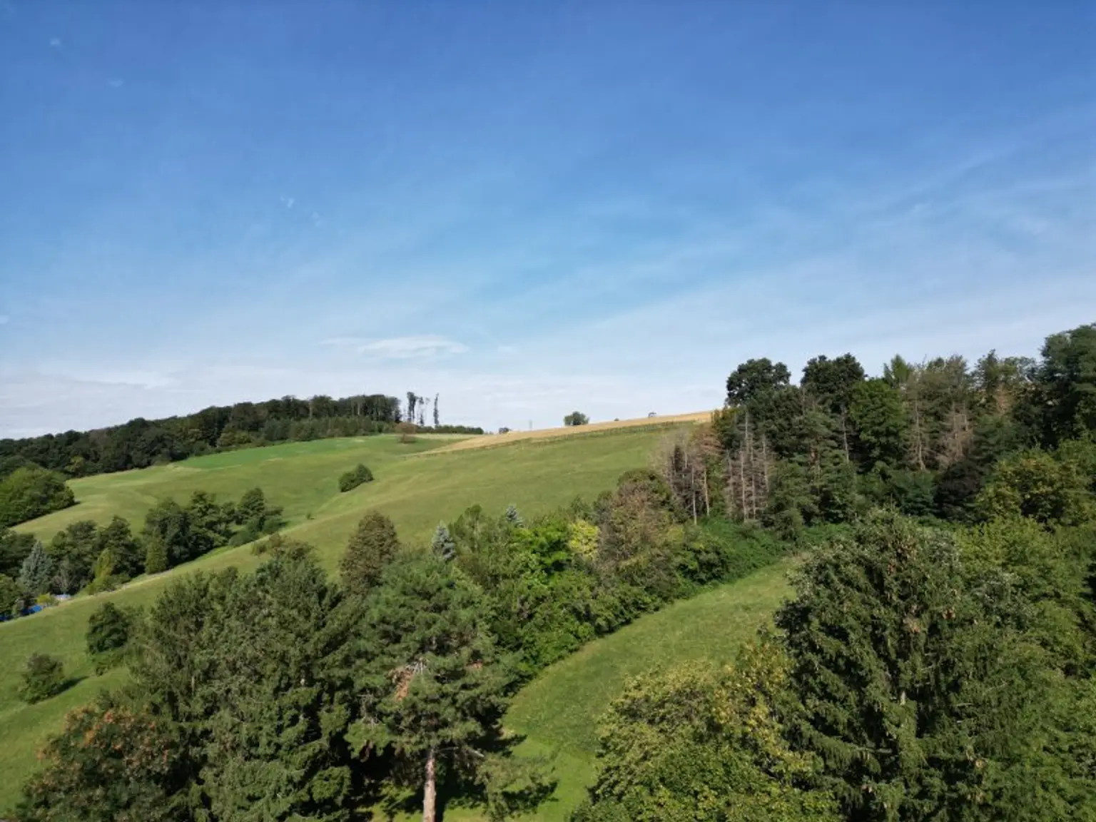 Verborgene Eleganz Haus auf Eigengrund in Maria Gugging