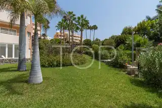 Oasis-La-Caleta-Green-Areas-Tenerife-6