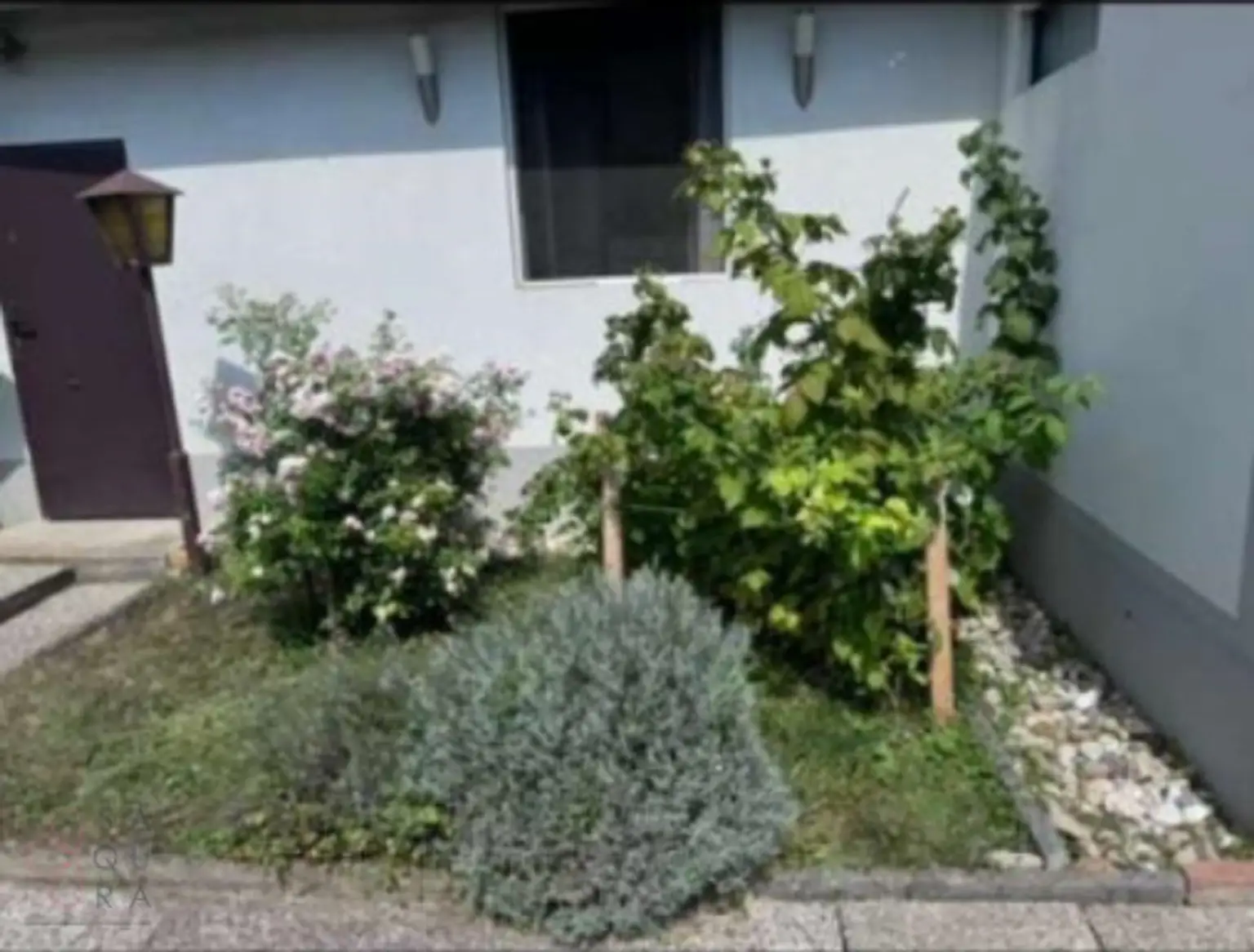 Zwischen Weingärten und Lebensqualität – ein Kleingartenhaus - Ihre Roheoase