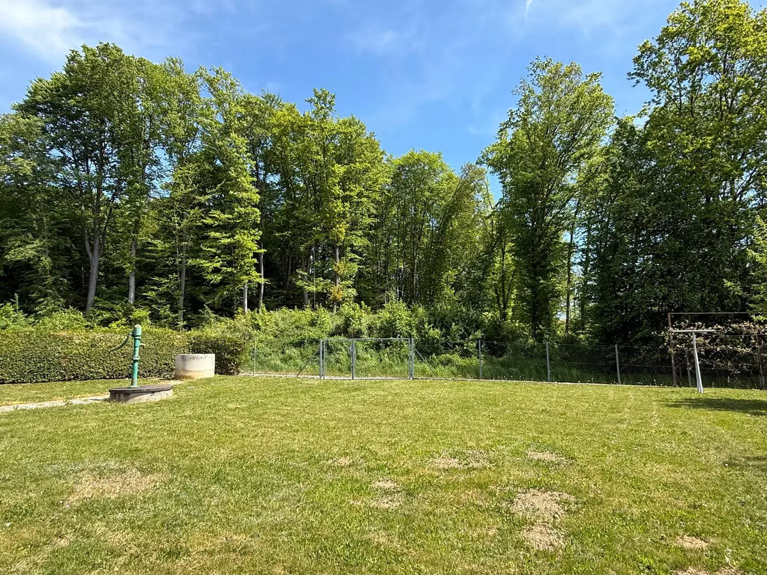 Garten 1