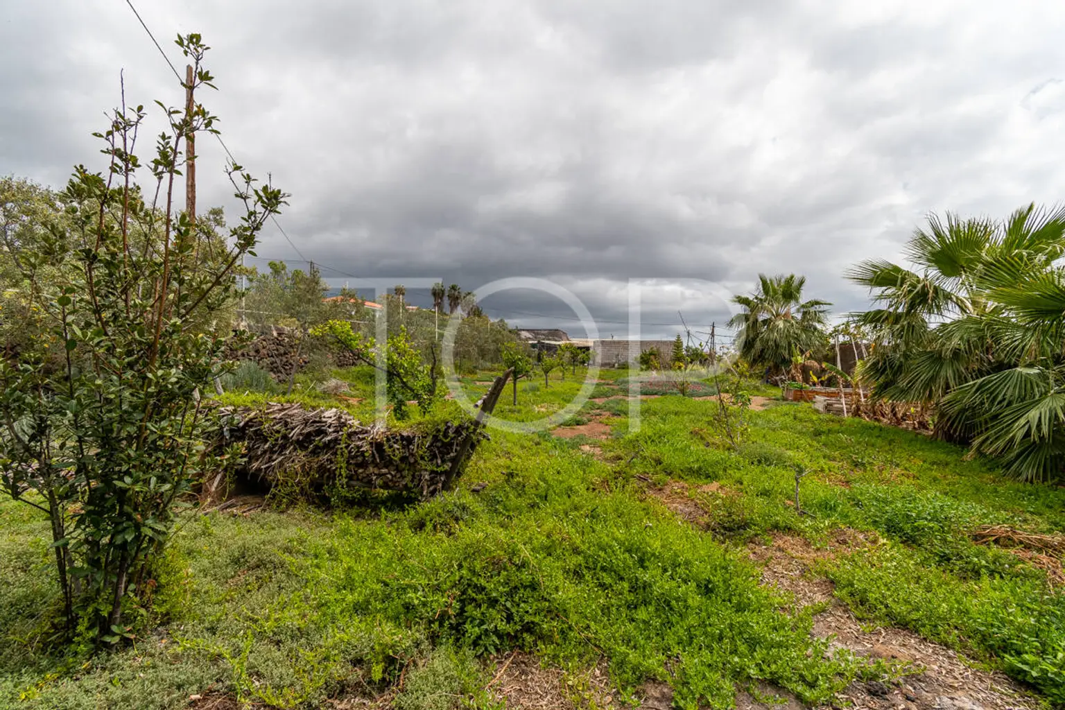 Anwesen-Chio-xxx-Teneriffa-31