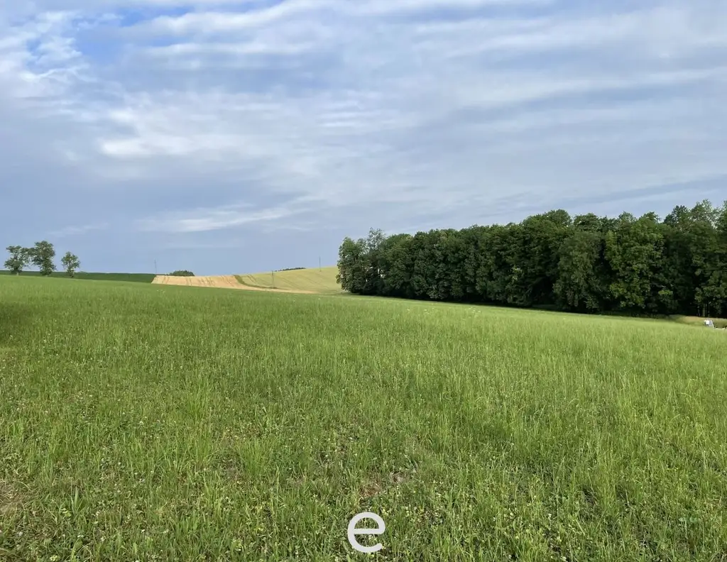 15 Baugrundstücke in idyllischer Lage in Waldneukirchen