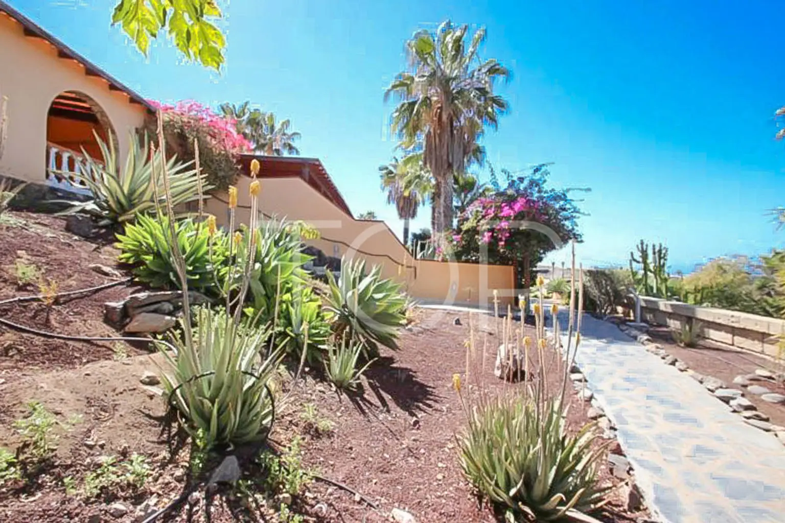 Finca-Apartment-Aussicht-Playa-San-Juan-Teneriffa