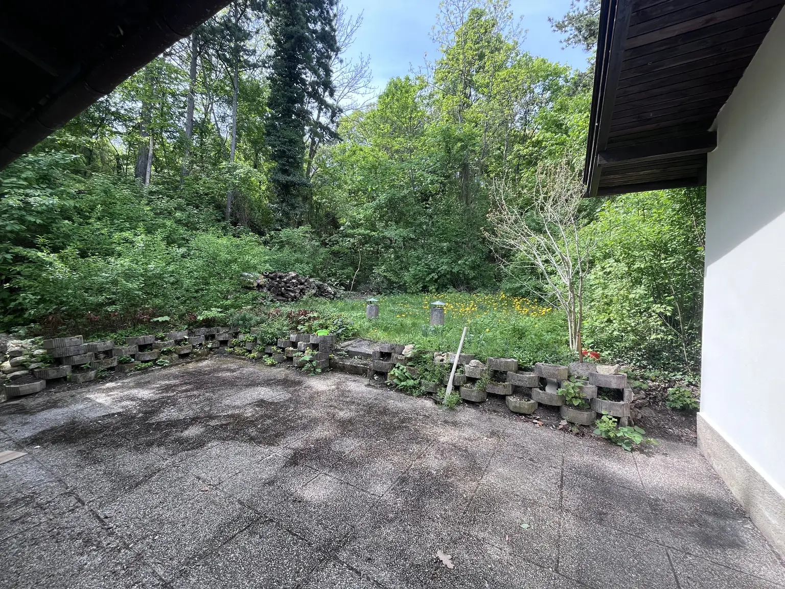 Traumwohnung am Römerberg