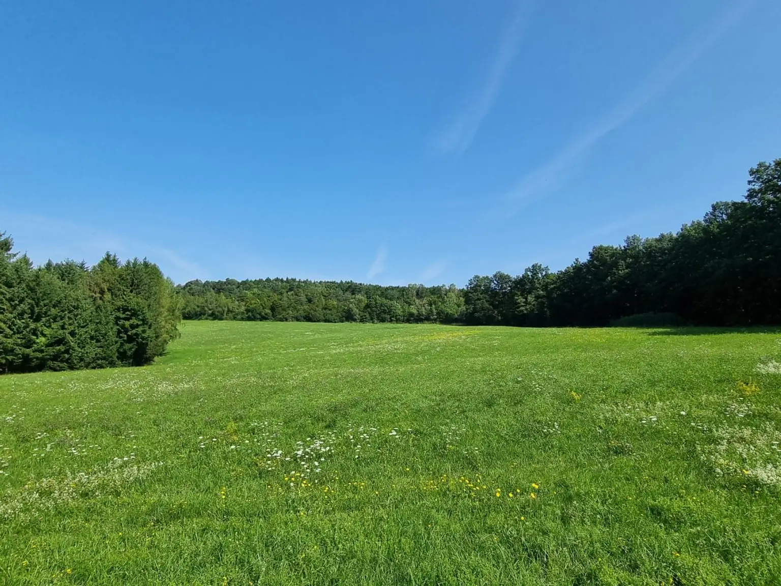 LANDWIRTSCHAFT VOR DEN TOREN WIENS