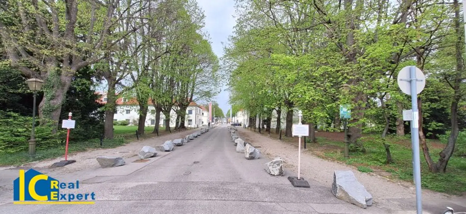Lindenallee beim Schloss Hetzendorf
