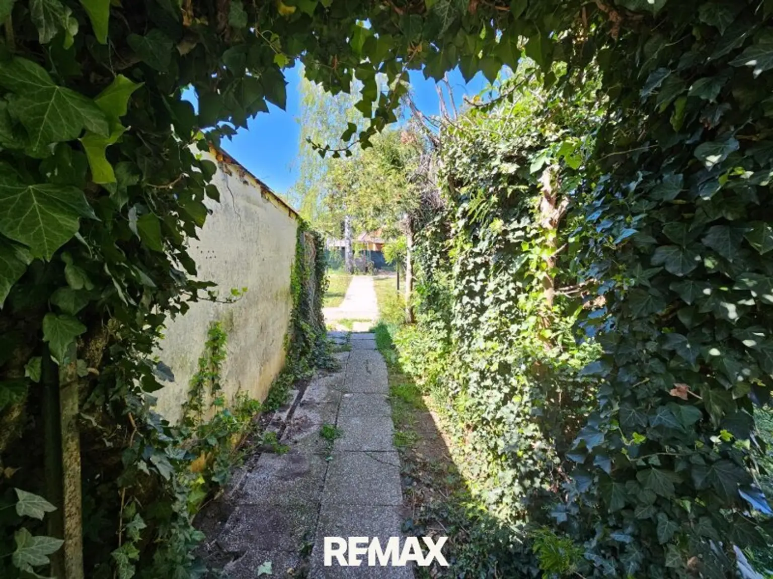 Garten (1)