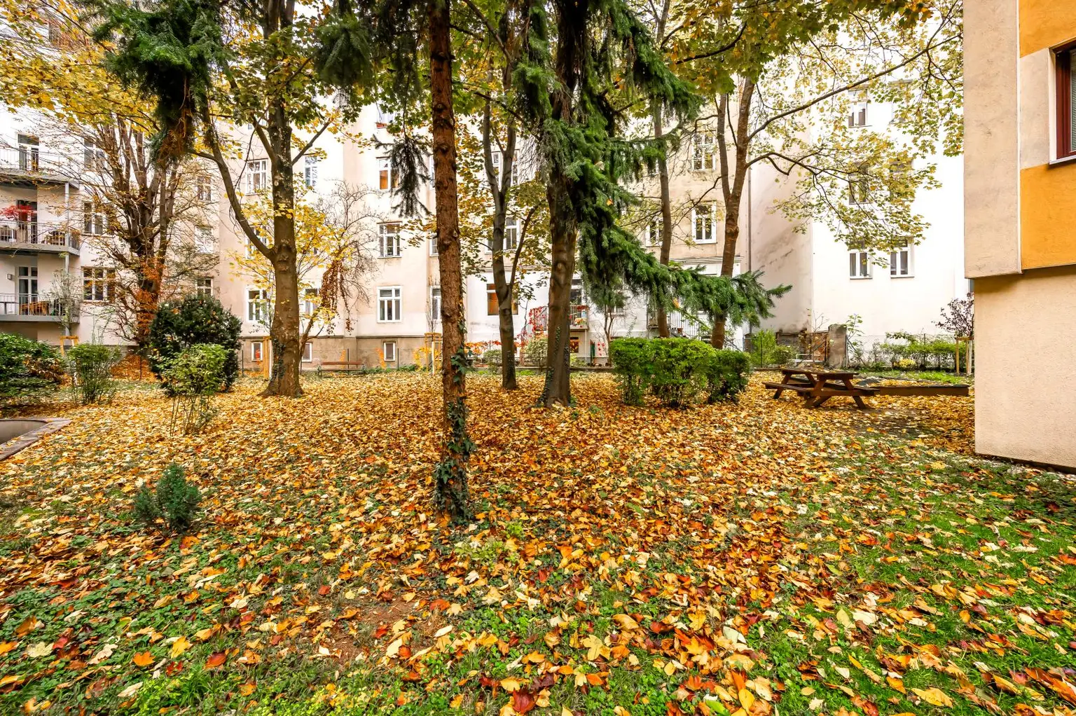 3 Zimmerwohnung Gersthof | Loggia | Viel Potenzial | Top Infrastruktur