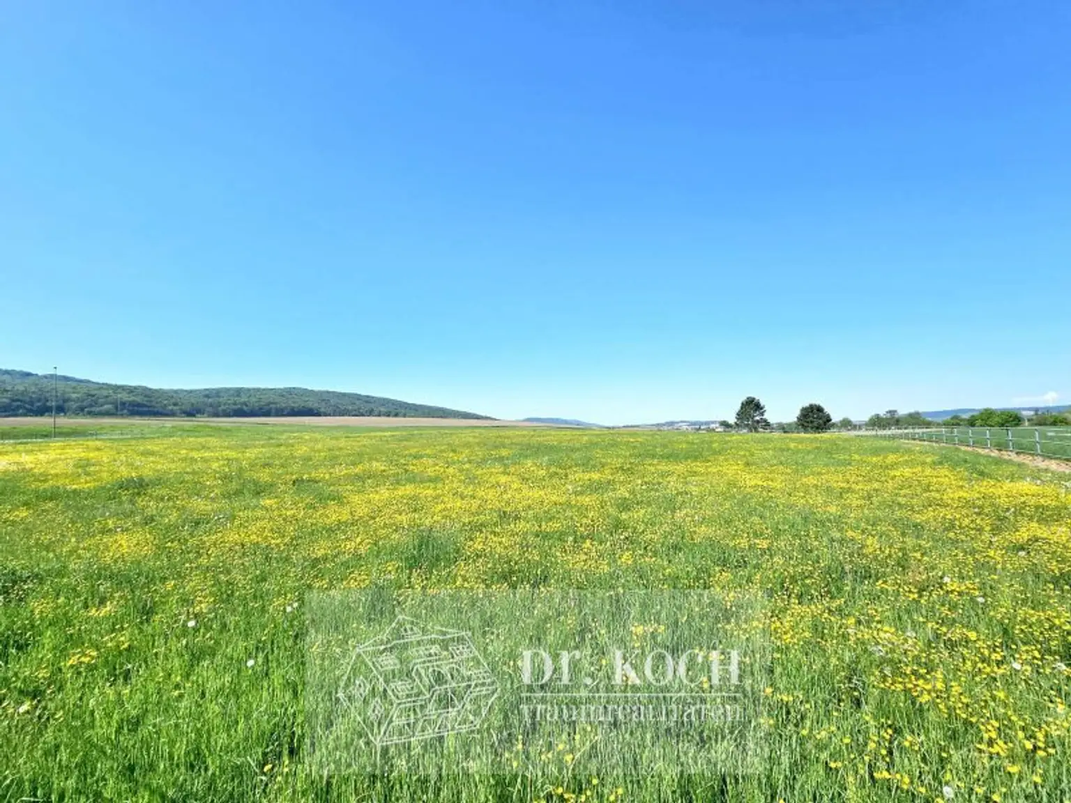 Traumhafter Landsitz im Villenstil mit Pferdeställen!