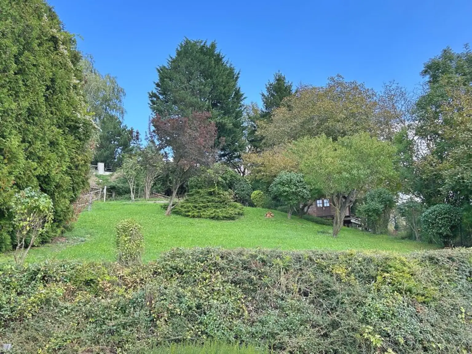 Charmantes Haus mit wunderschönem Garten in Top-Lage Nähe ISTA in Klosterneuburg/Kierling.