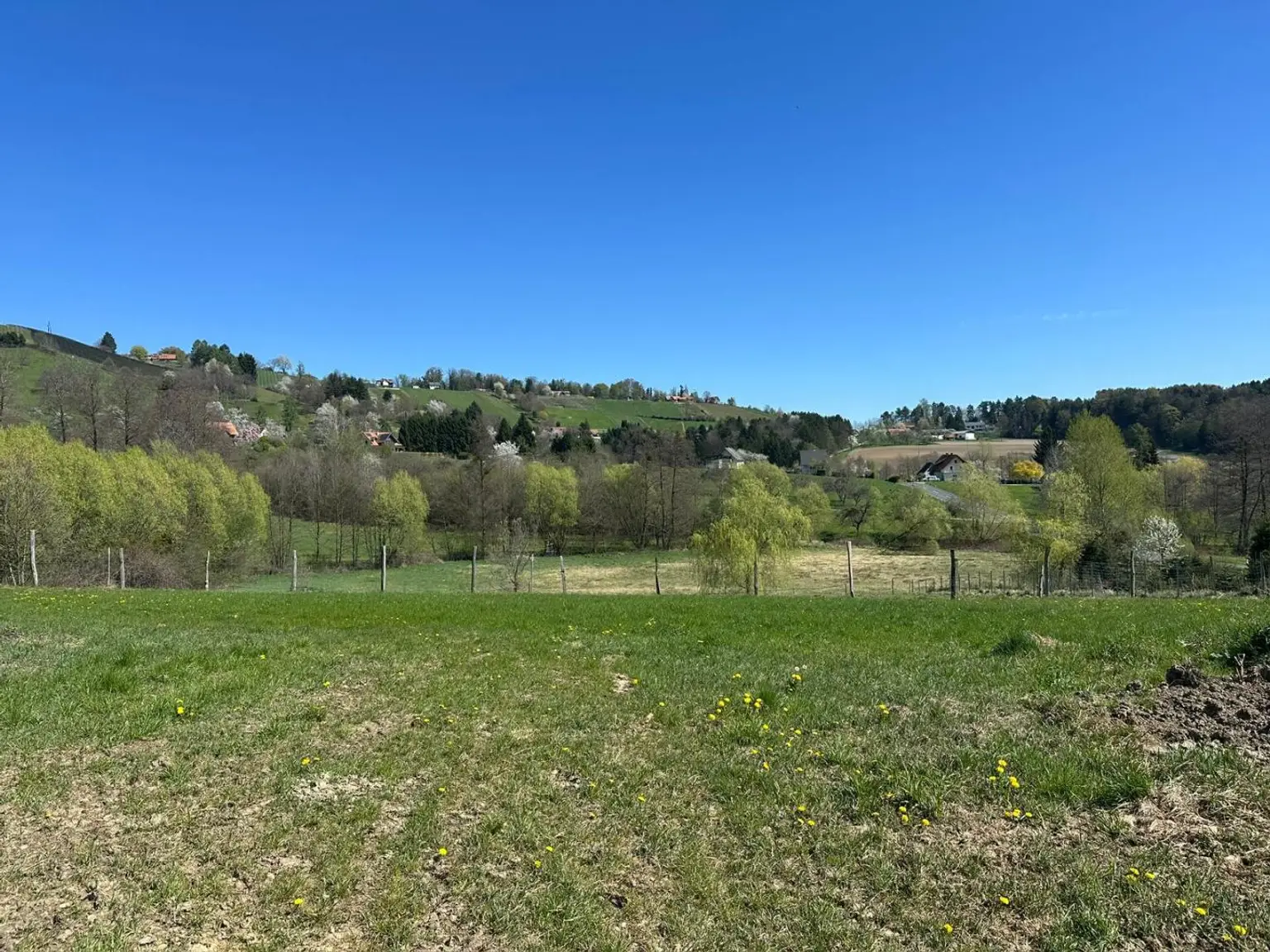 Baugrundstuecke Naehe Stainz immoresch exklusiv (6