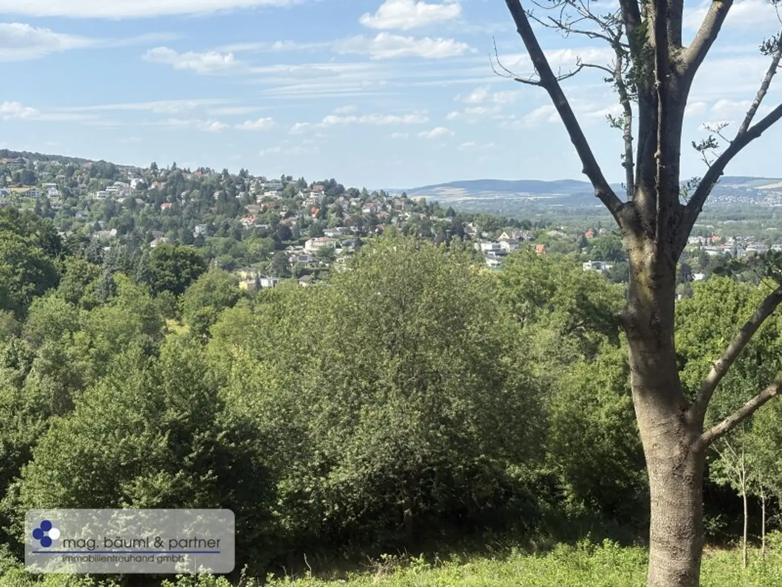 Grünland  mit Zufahrt und  Aussicht