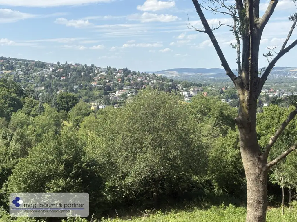 Grünland  mit Zufahrt und  Aussicht