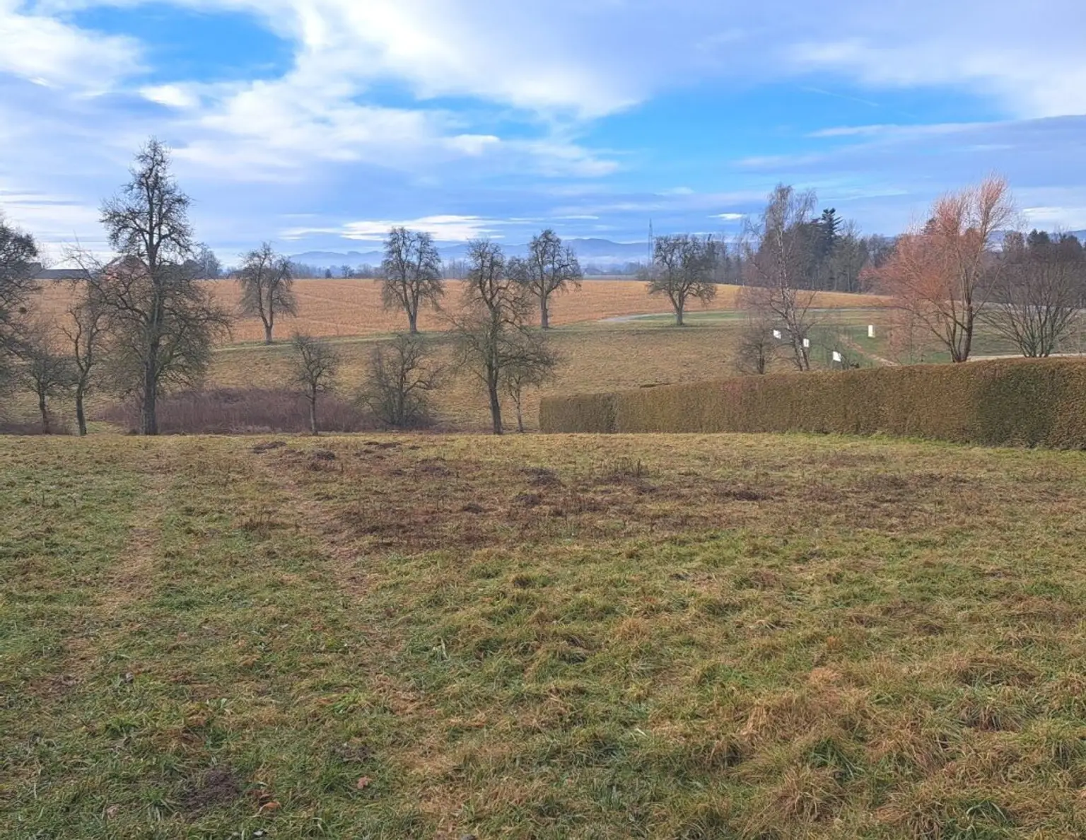 Aistersheim: Bau- und Landwirtschaftsgrund 5104m², herrliche Zentrumslage!