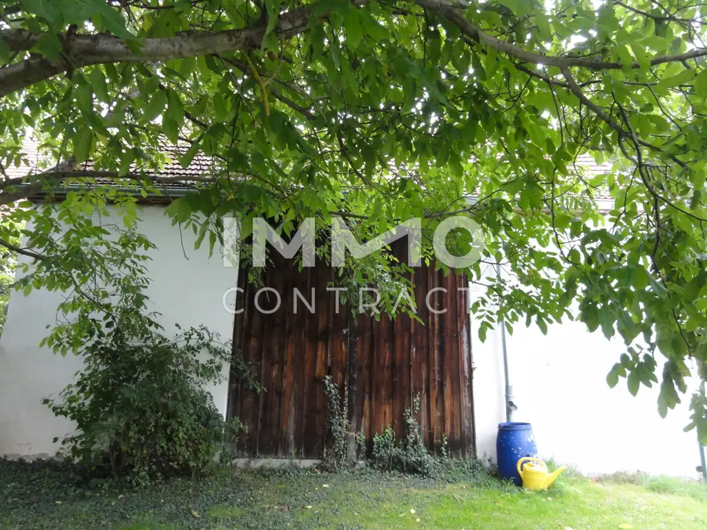 GROßER GARTEN, kleiner Preis