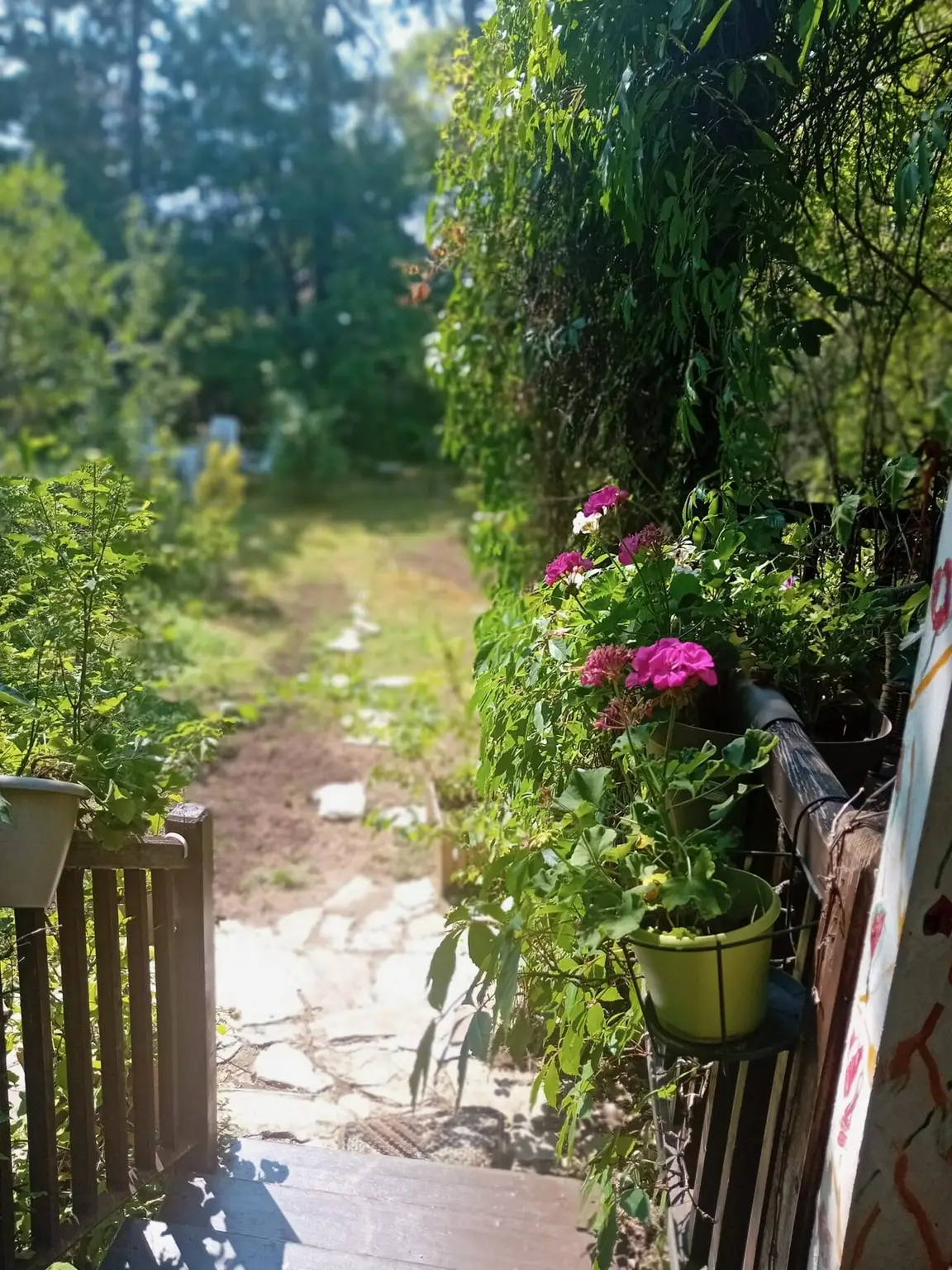 Natur pur , tolles Haus