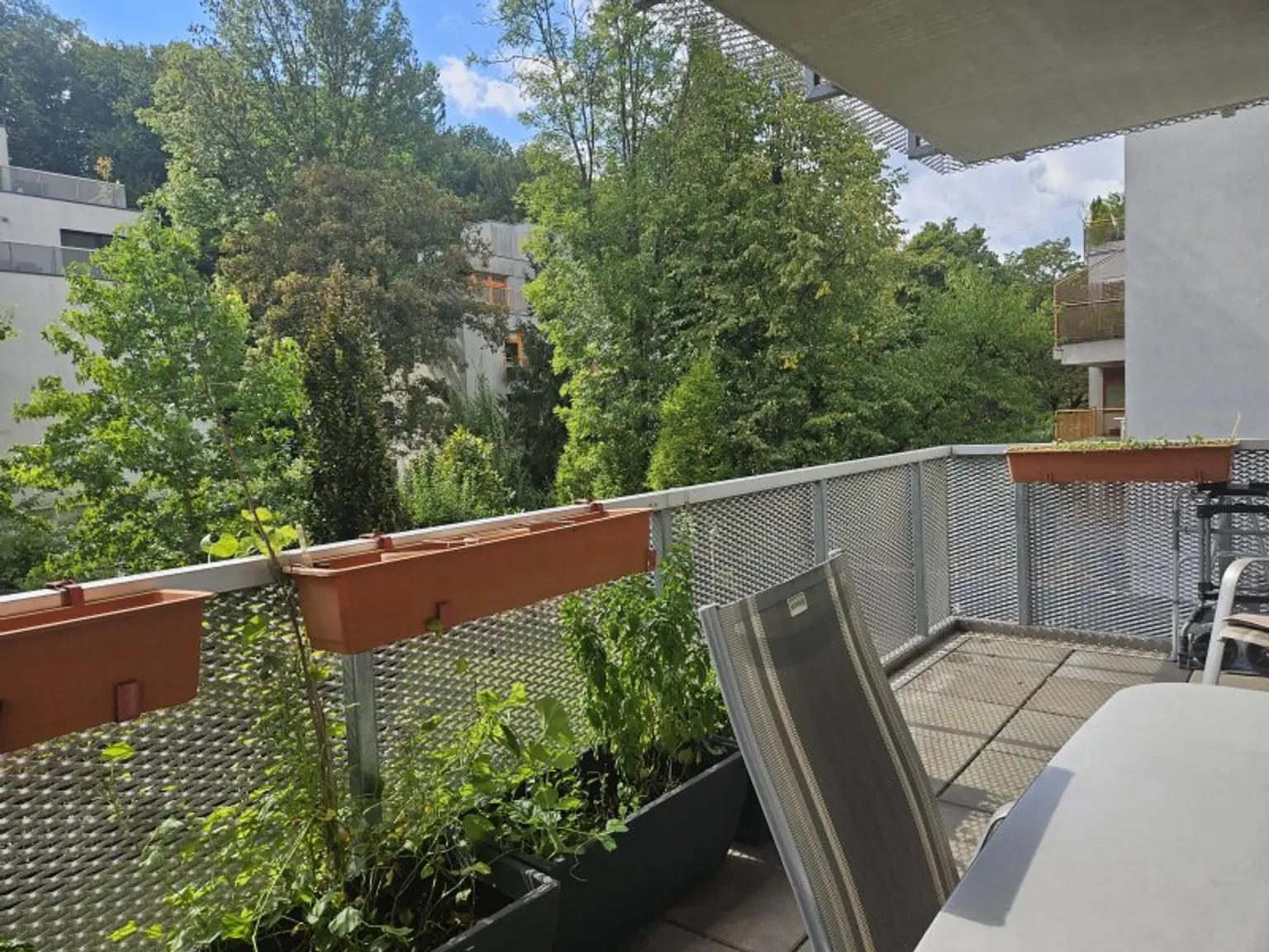 NEUWALDEGG - Gepflegter Neubau mit Balkon