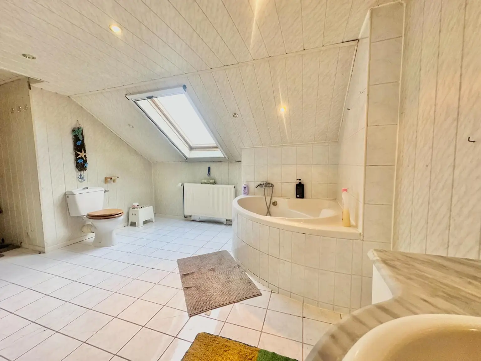 Reiterparadies im Weinviertel – Ihr Traum vom Landleben!