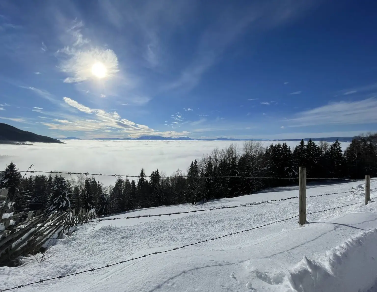 Aufgepasst: Traumhaftes Grundstück mit genehmigtem Einreichplan!