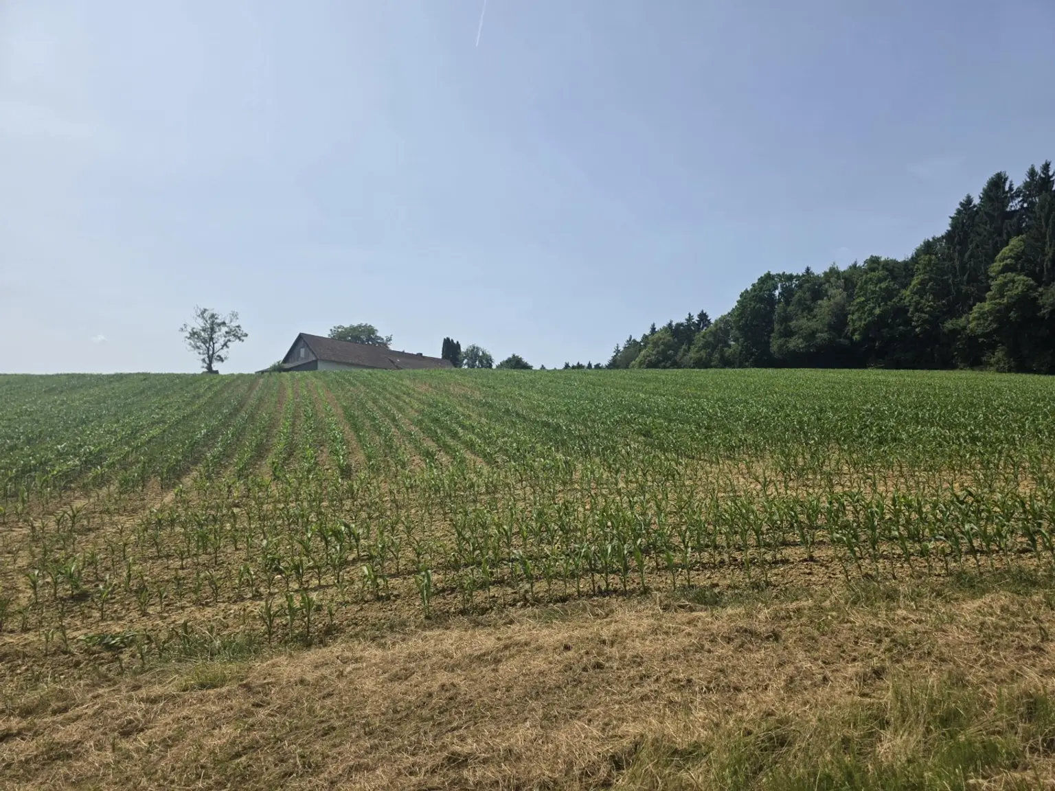 Bauernhaus (stark sanierungsbedürftig) mit viel Grund und kleinem Teich