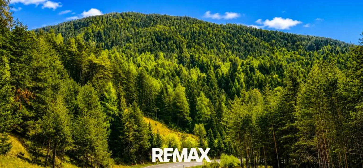 Wald