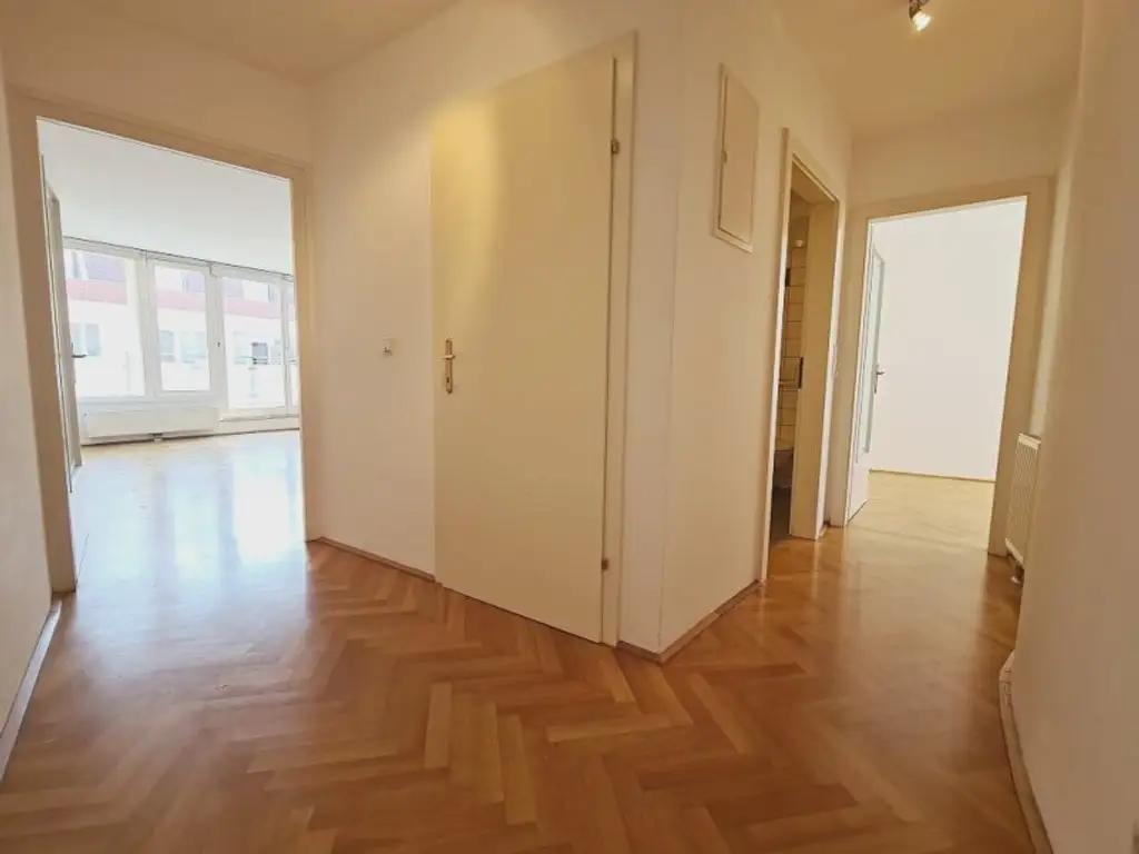 SALZTORGASSE, DONAUKANAL-NÄHE, 51 m2 Neubau mit Stehbalkon, 2 Zimmer, Komplettküche, Wannenbad, Parketten, Fernblick