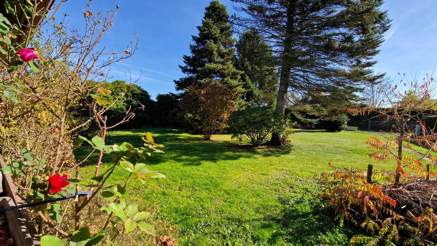 Rohdiamant - Ferienhaus mit großem Grundstück in beliebter Thermen & Golfregion