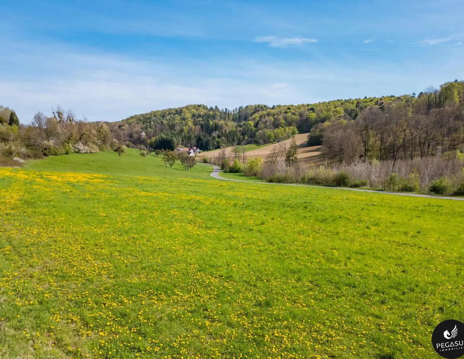 Nähe Feldbach - Grundstück mit Sonderwidmung Reitsport