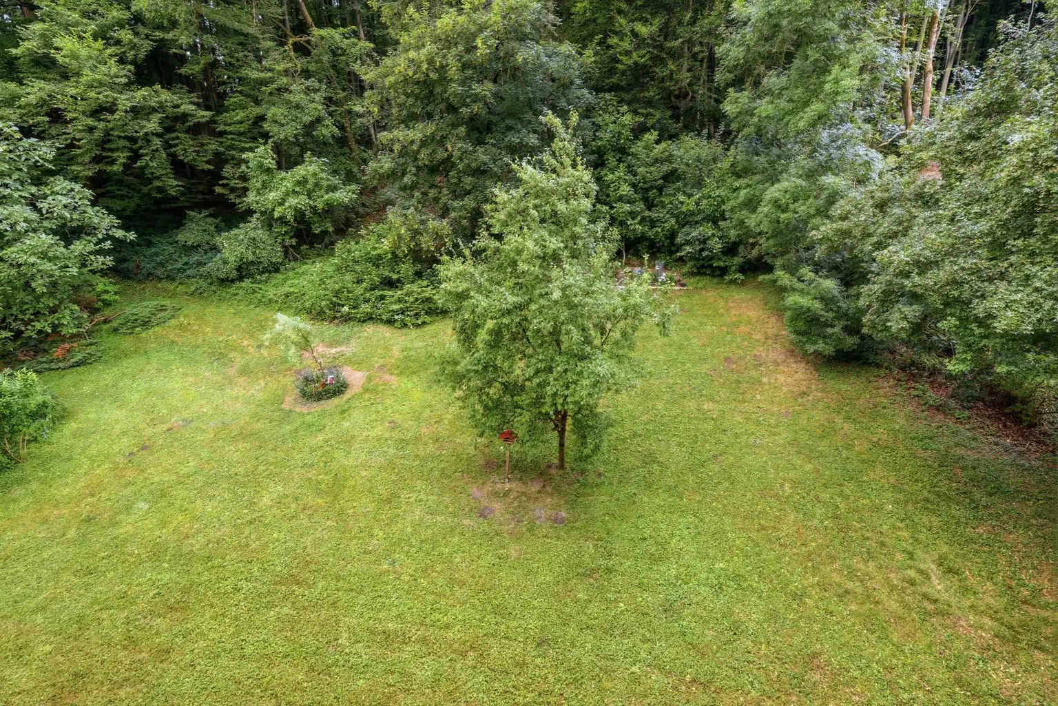 15 Gemeinschaftsgarten