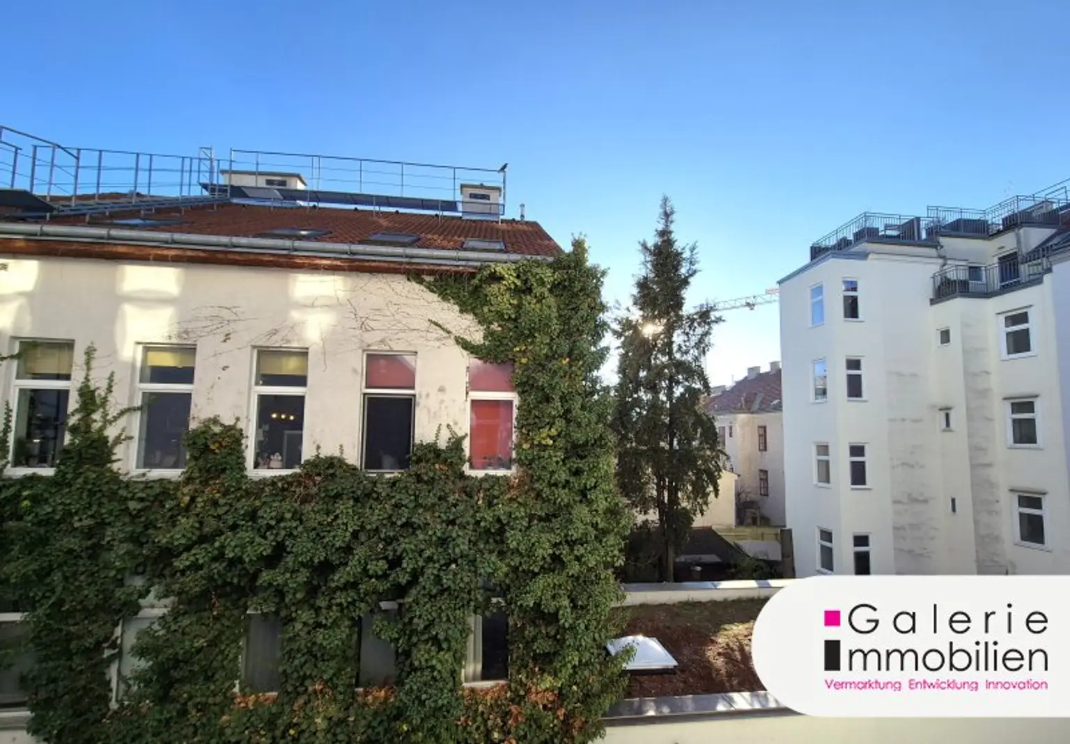 Blick von der Küche