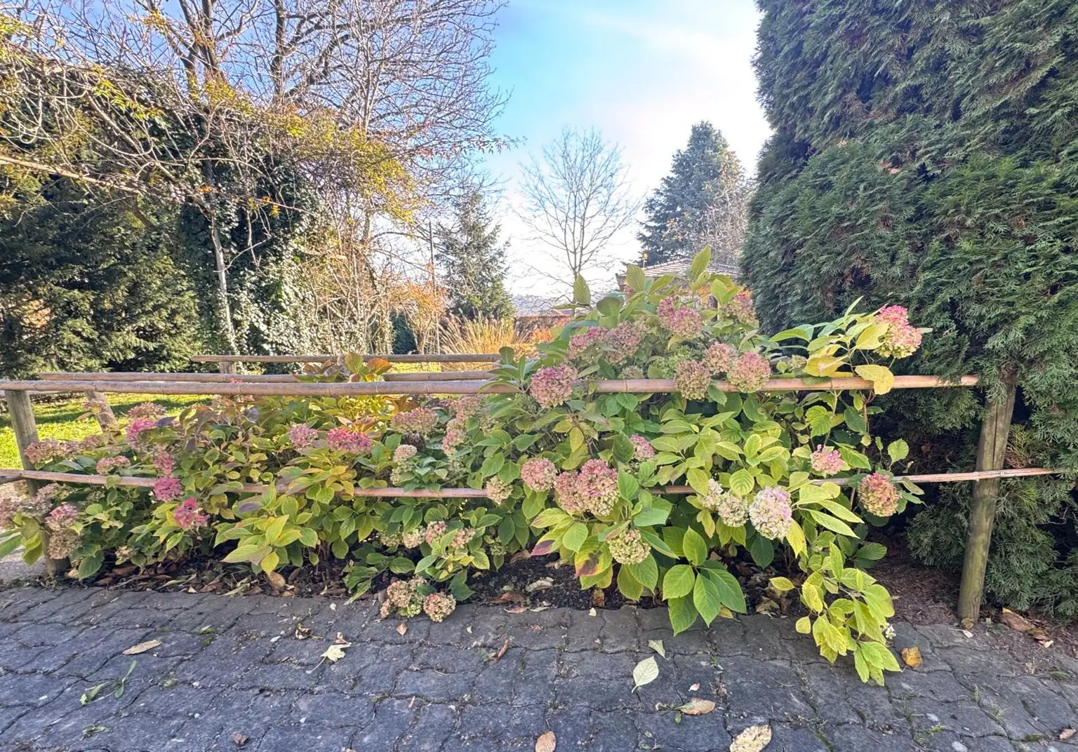 Sanierungsbedürftiges Mehrfamilienhaus mit großem Grundstück und hoher Bebauungsdichte