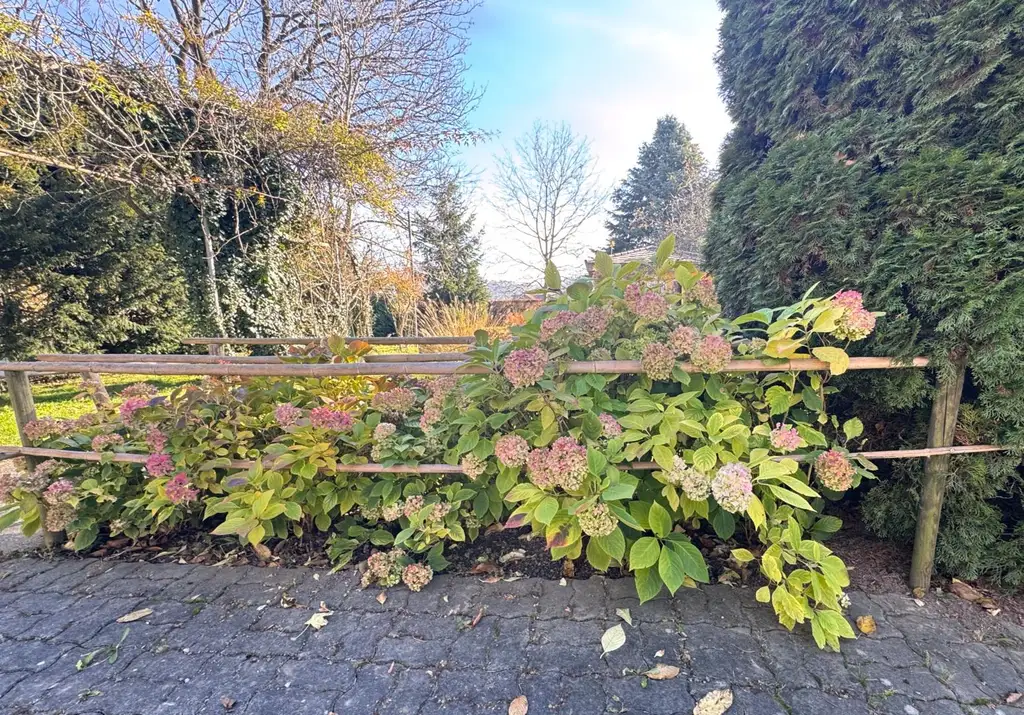 Sanierungsbedürftiges Mehrfamilienhaus mit großem Grundstück und hoher Bebauungsdichte
