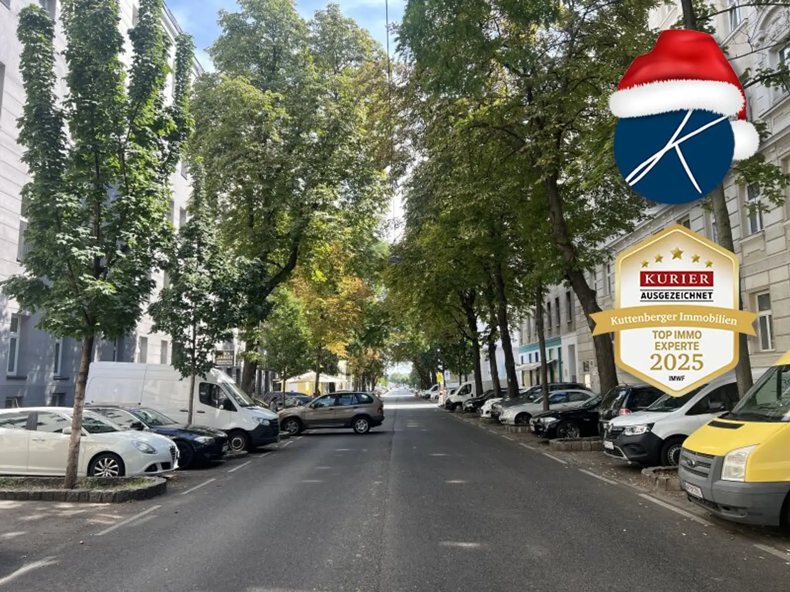 Alleestraße mit Altbaumbestand