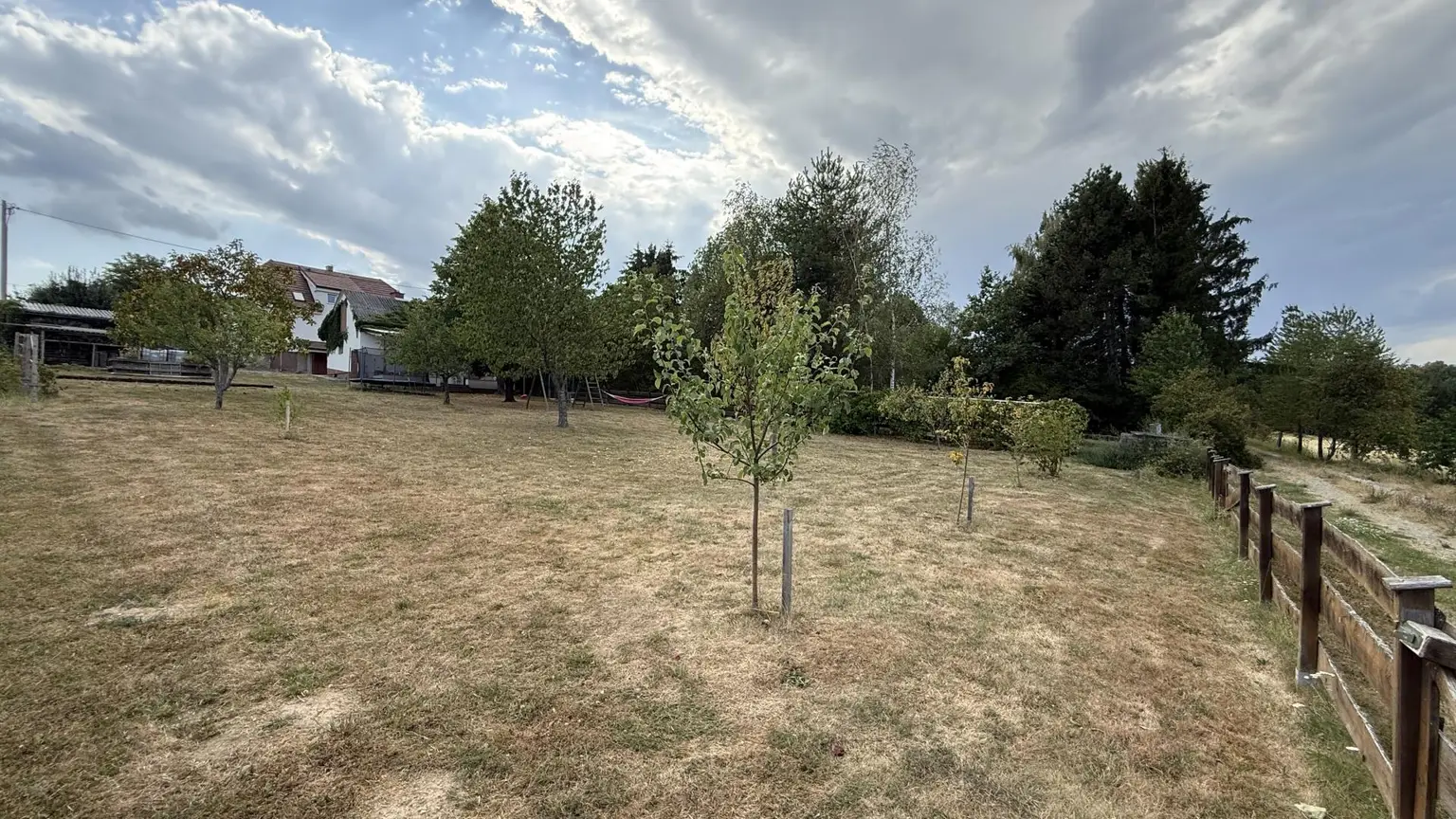 Garten mit Bäumen